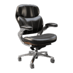 Ergonomic Office Chair